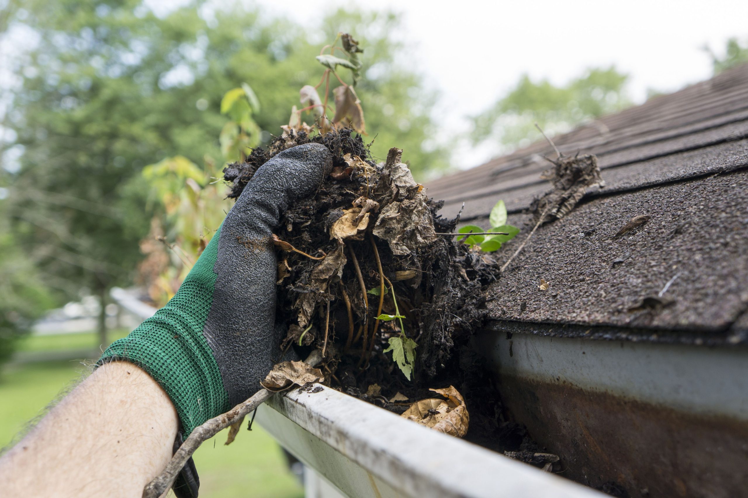 V&V Roof and Gutter Cleaning
