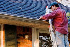 Understanding the Importance of Cleaning Your Gutters Seasonally